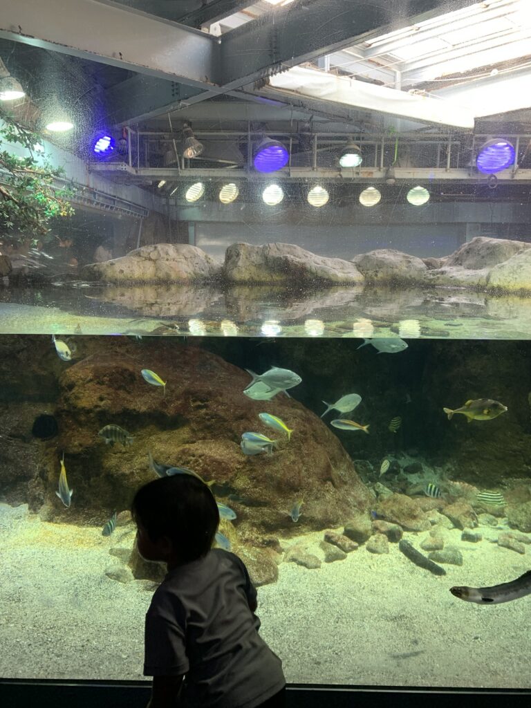 Family Fun in Japan
