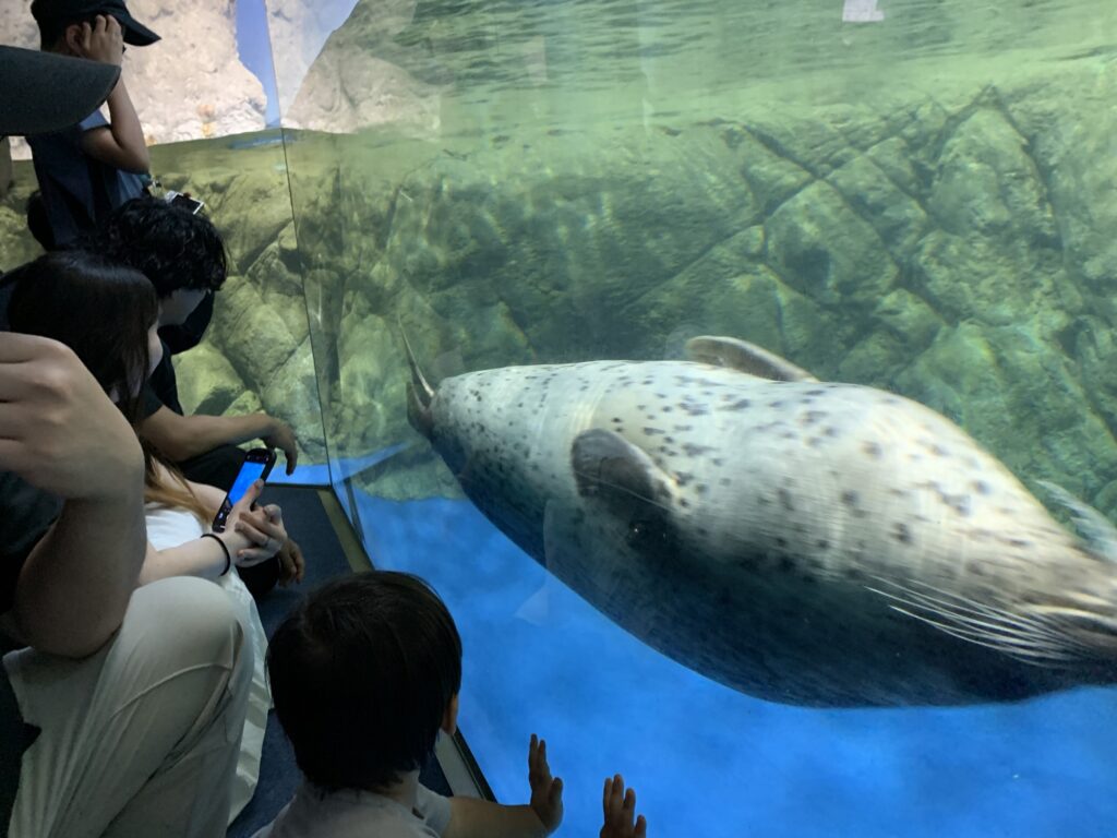 Family Fun in Japan